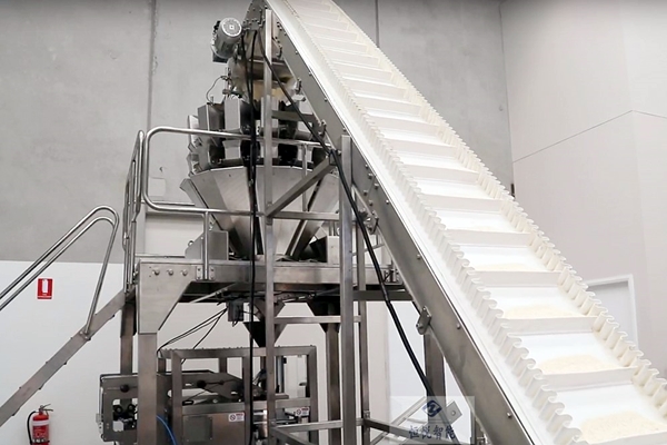 速凍水餃香蕉免费在线视频720K