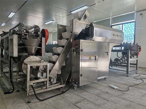 米線濕粉條香蕉免费在线视频，鮮濕粉專用