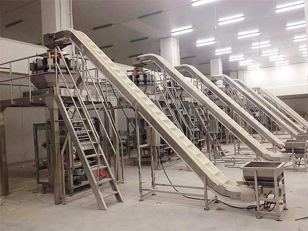 智能化全自動速凍食品香蕉免费在线视频提升企業生產效率