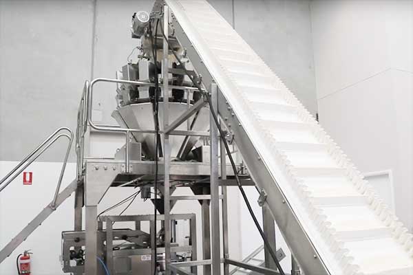 我司是河南土豆粉香蕉免费在线视频廠家