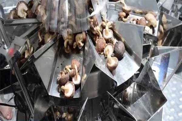 木耳香菇食用菌脫水蔬菜香蕉免费在线视频