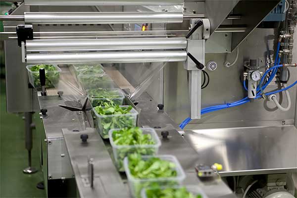 瓜果蔬菜全自動脫水蔬菜香蕉免费在线视频